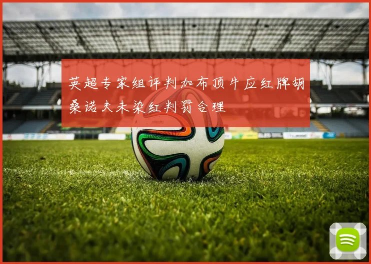 英超专家组评判加布顶牛应红牌胡桑诺夫未染红判罚合理