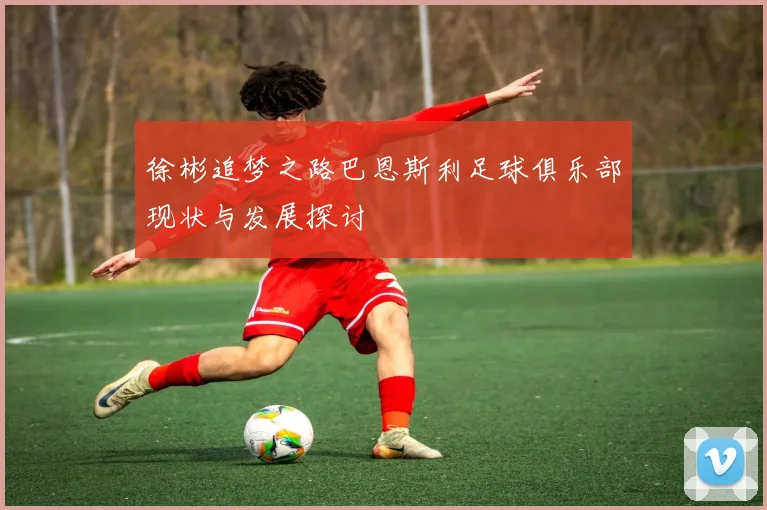 徐彬追梦之路巴恩斯利足球俱乐部现状与发展探讨